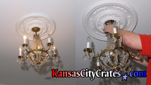 Small regency style chandelier with crystal bag and gold arms being disconnected from ceiling by electrician before crating.