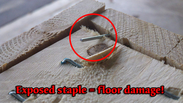 staple sticking out side of crate can injure handlers or damage floors