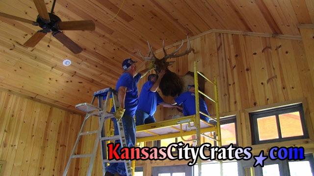 Scaffolding is used to remove Elk head mounted on hunting cabin wall.