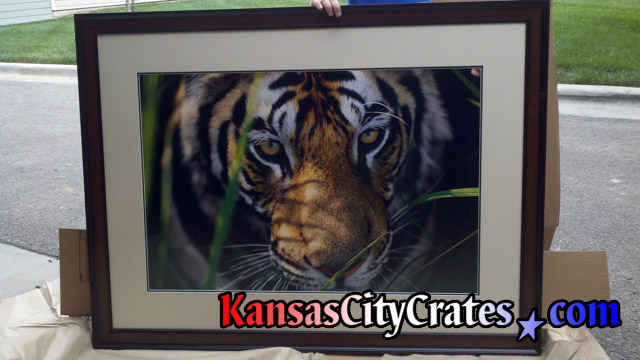 Large lithograph of tiger packed in wood crate.